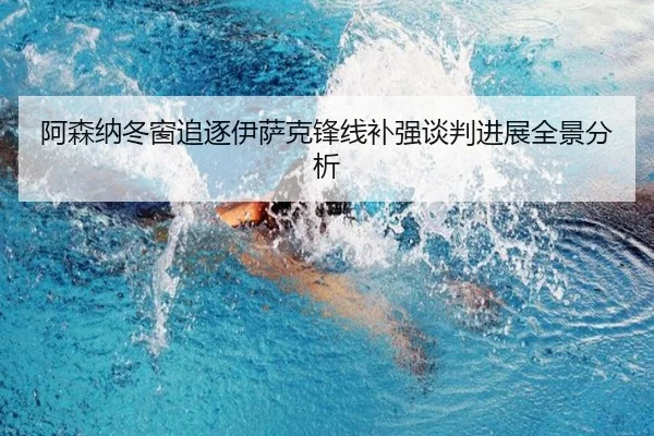 阿森纳冬窗追逐伊萨克锋线补强谈判进展全景分析 - BSports